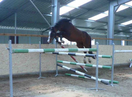 lordano - ve skoku 2.jpg